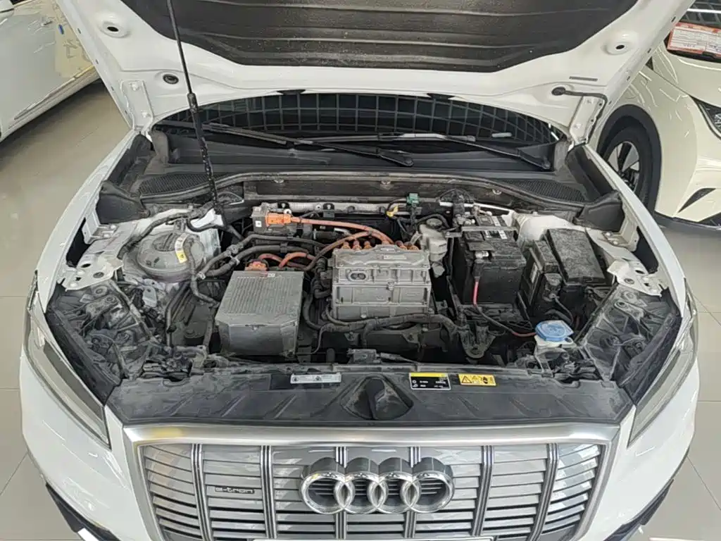Audi Q2L e-tron 2020 2019 Q2L e-tron Pure Electric Smart Cool Edition