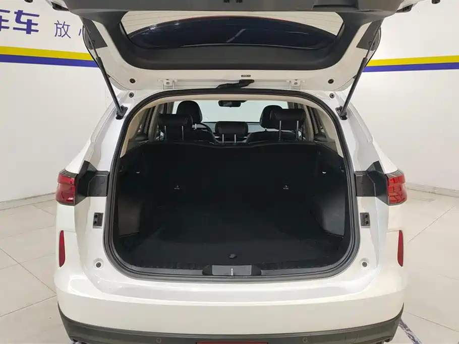 Haval H6 2022 3rd Gen 1.5T Auto 2WD Max фото 4