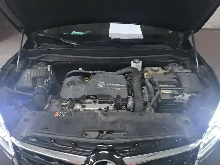 Buick Envision Plus 2020 20T FWD Luxury фото 10