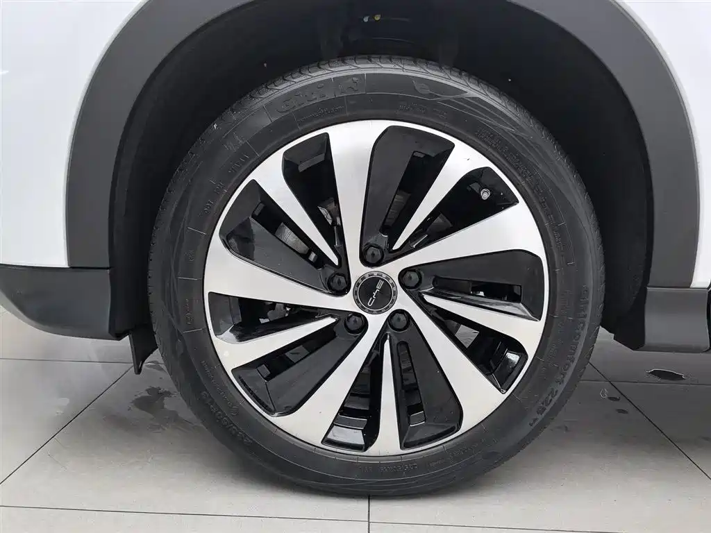 BYD Song PLUS PHEV 2024 Glory Edition DM-i 110km Flagship фото 17