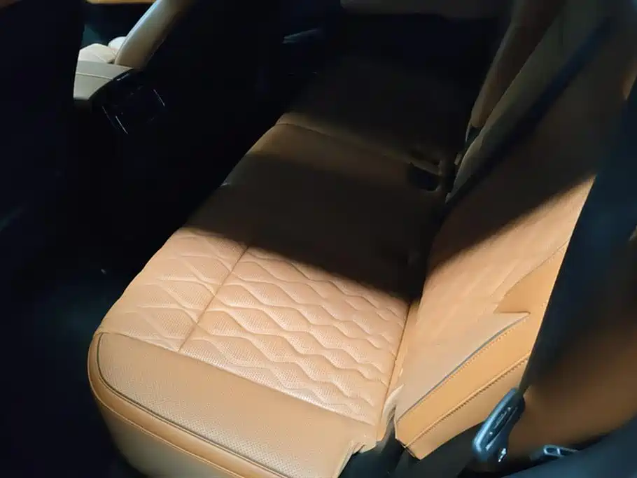 BYD Tang New Energy 2022 DM-i 252KM Executive фото 11