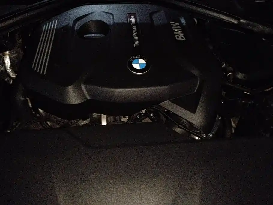 BMW 3 Series GT 2017 320i Fashion фото 10