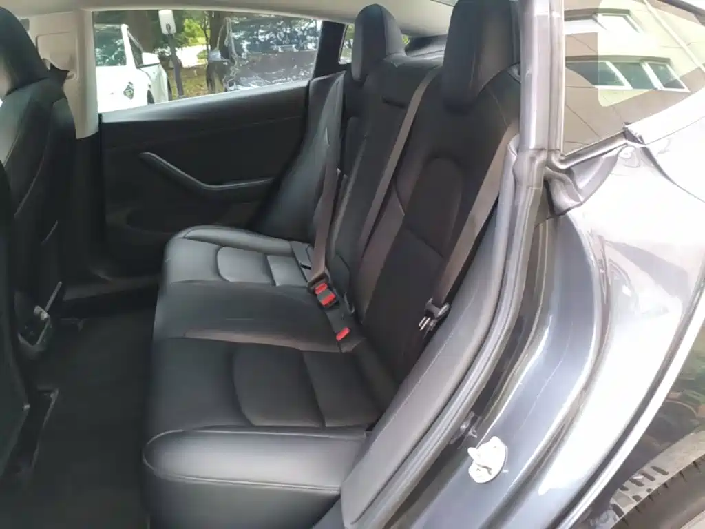 Tesla Model 3 (Import) 2019 2019 Long Range RWD Version