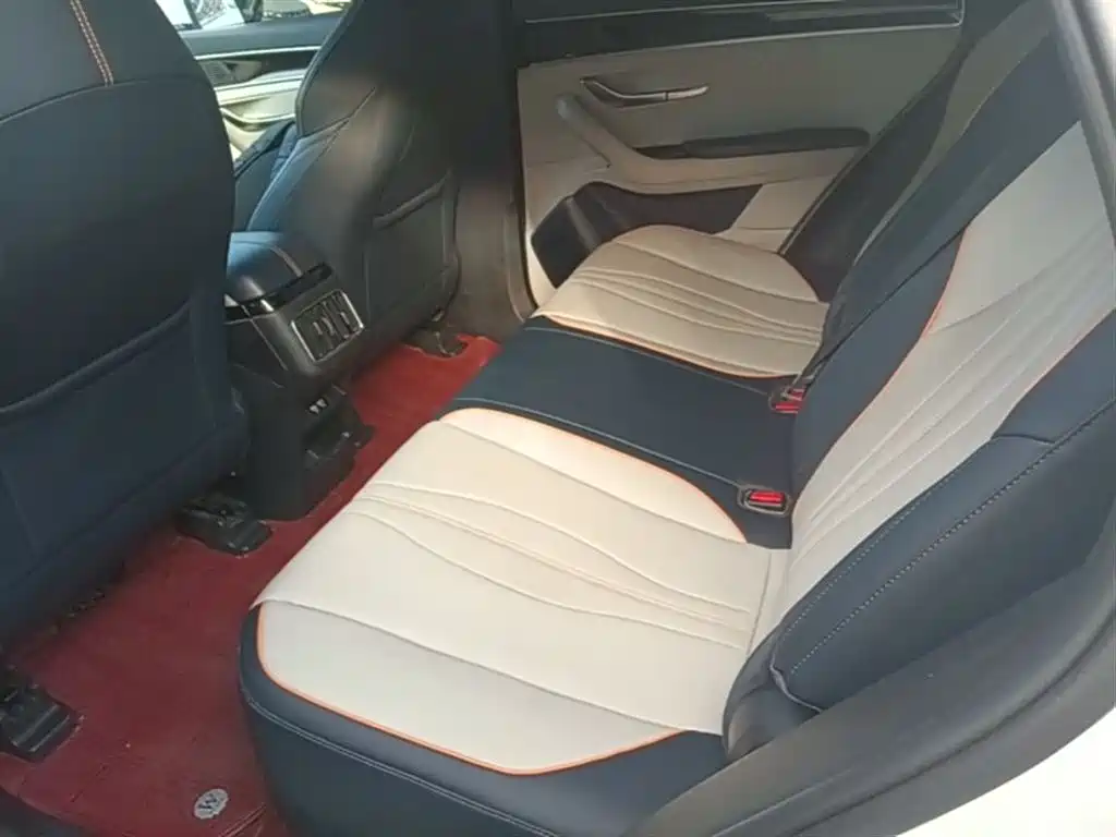 BYD Song PLUS PHEV 2021 DM-i 110KM Flagship фото 17