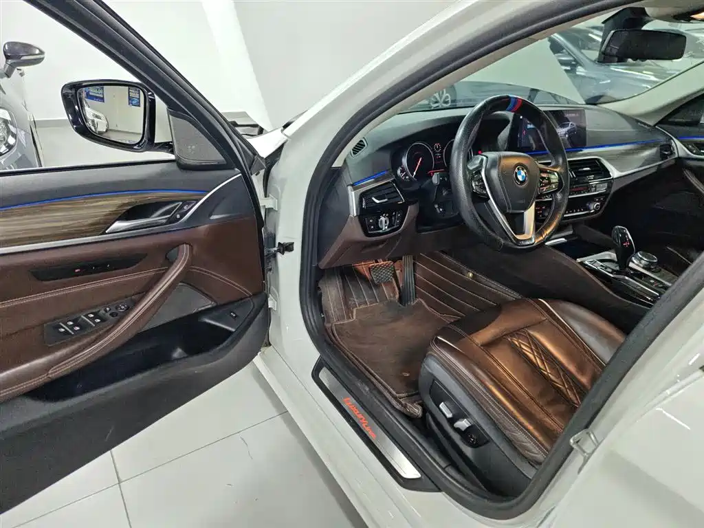 BMW 5 Series 2018 530Li xDrive Luxury Package фото 23