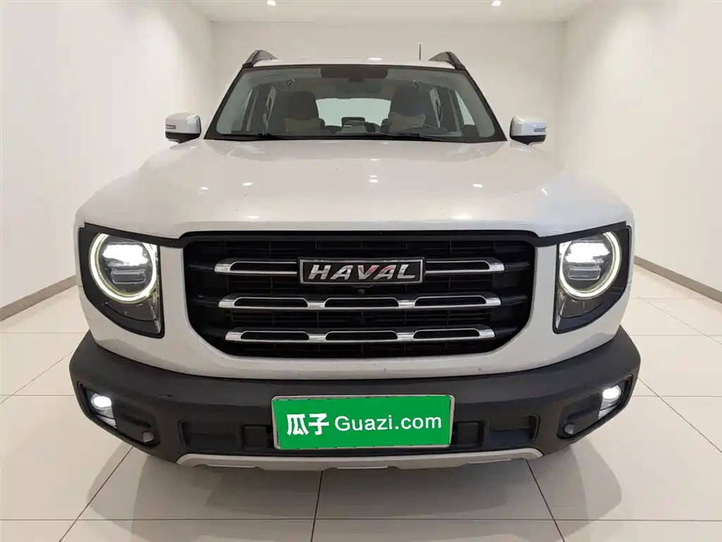 Haval Big Dog 2021 1.5T DCT 2WD Labrador Edition фото 3