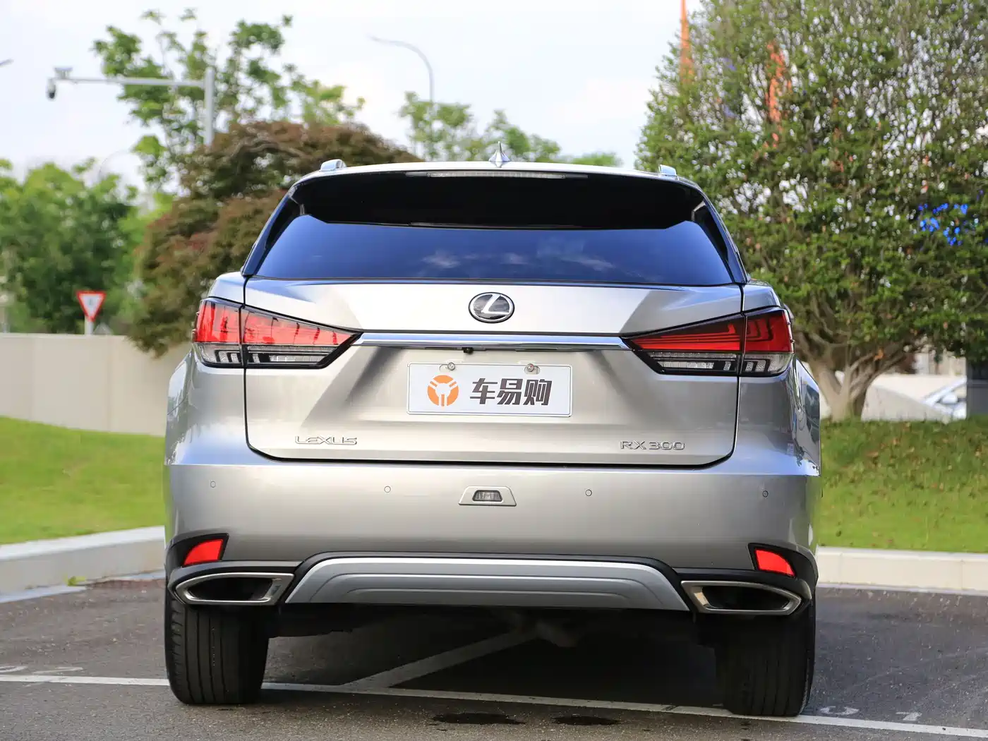 Lexus RX 2020 300 4WD Elegance Edition China VI фото 21