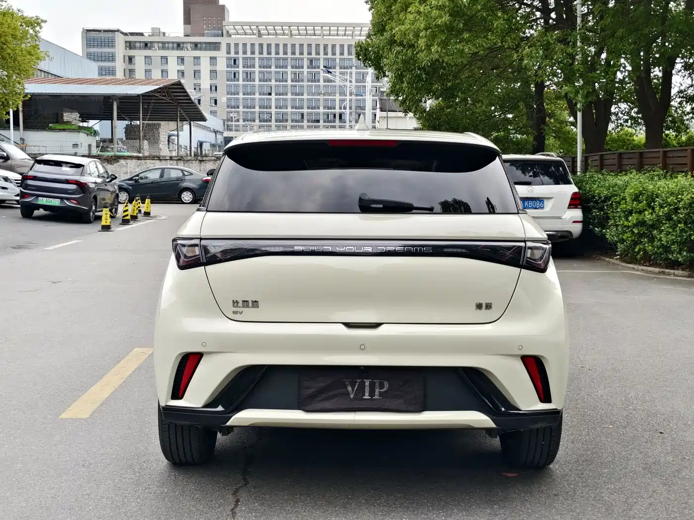BYD Dolphin 2025 420km Fashion Edition фото 4