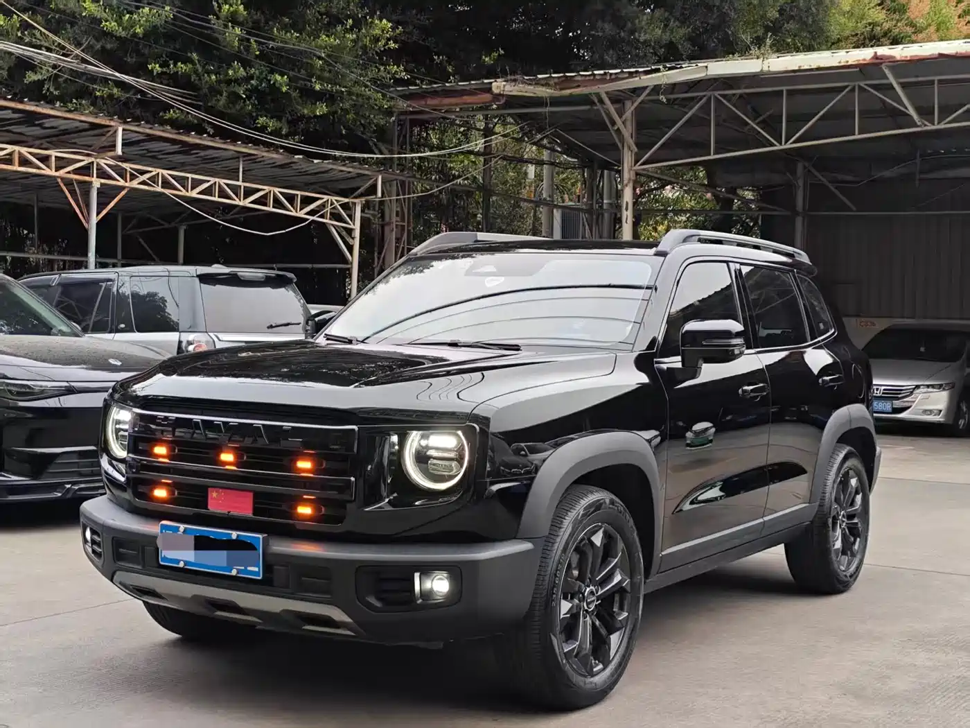 haval big-dog