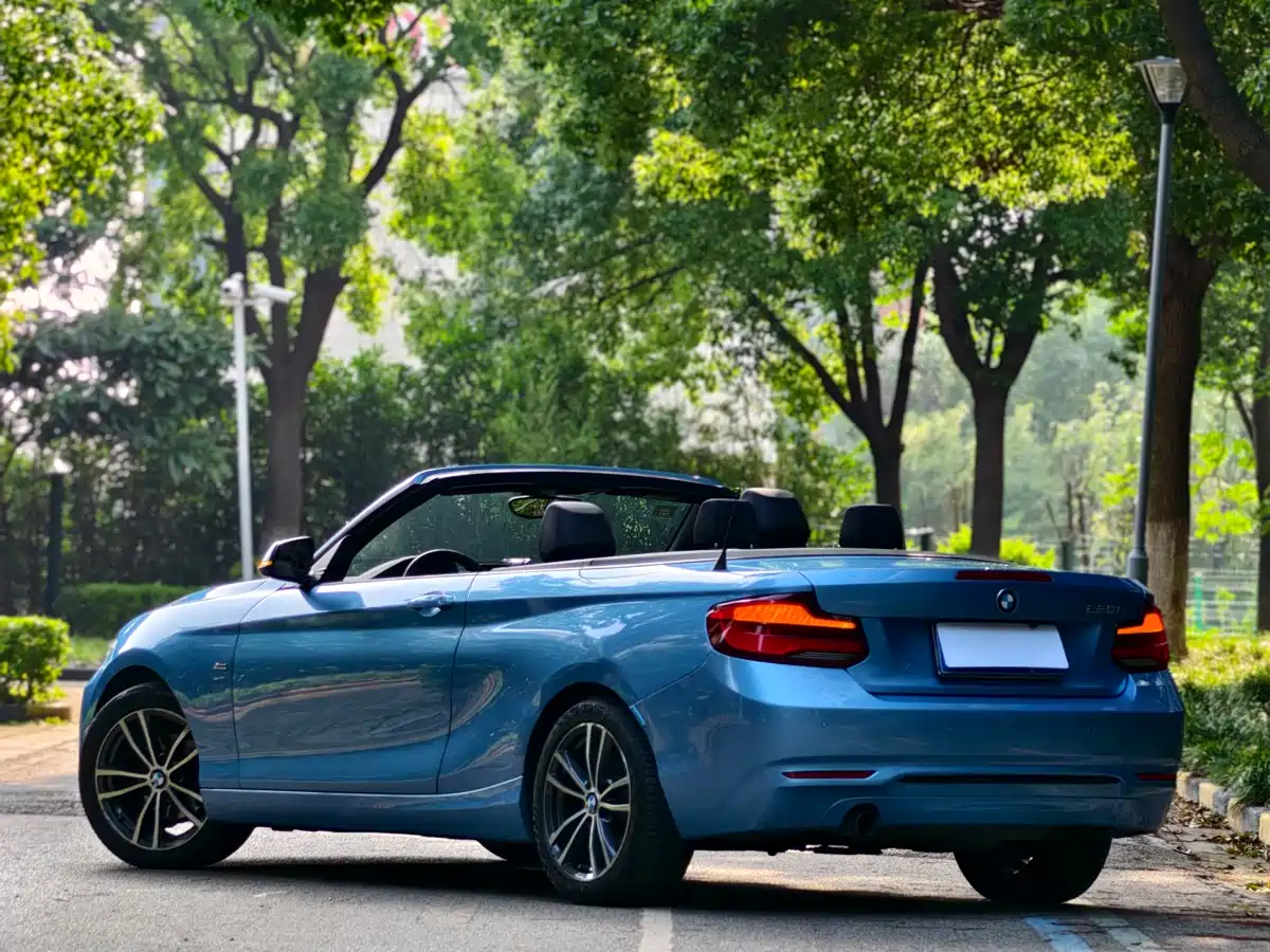 BMW 2 Series (Import) 2018 220i Convertible Coupe Sport Design Package фото 6