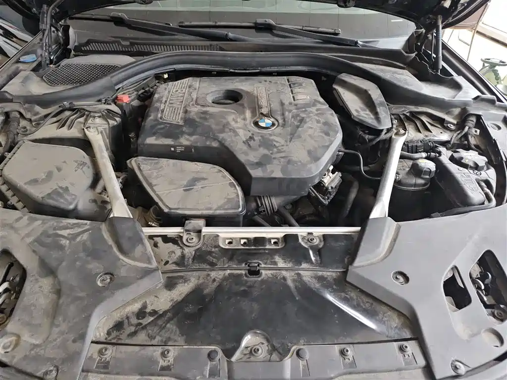 BMW 5 Series 2018 530Li Exclusive Luxury Package фото 20