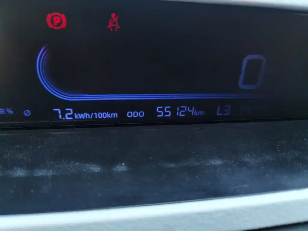 Geely Galaxy Panda 2023 2023 Panda Mini 200km Endurance Bear