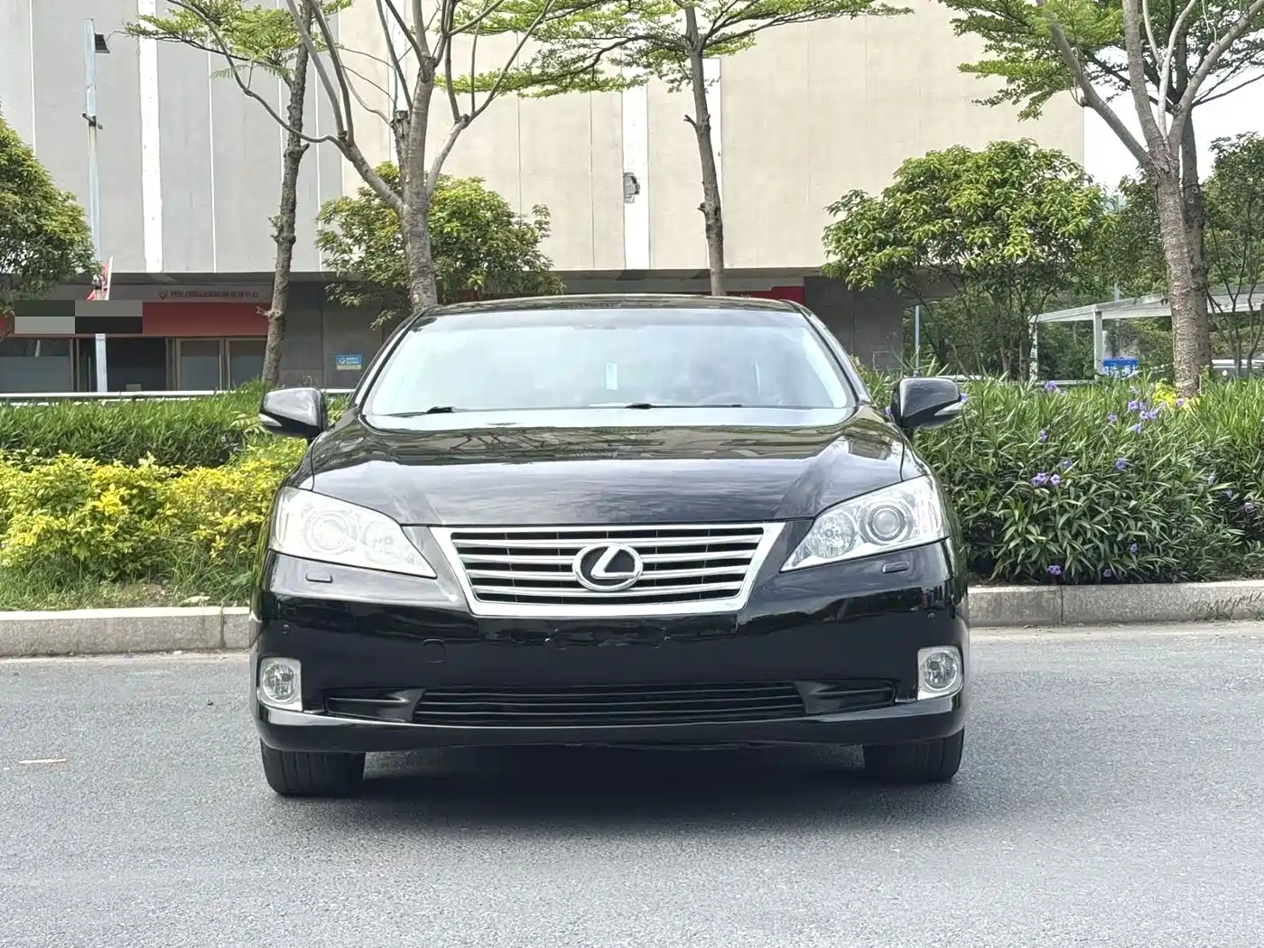 Lexus ES 2010 240 Elegance Edition фото 2