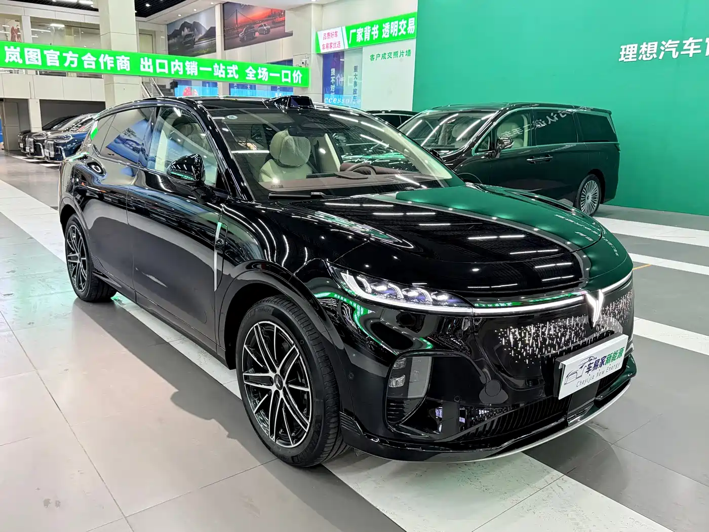 Voyah Auto Voyah Zhiyin 2025 Base фото 6