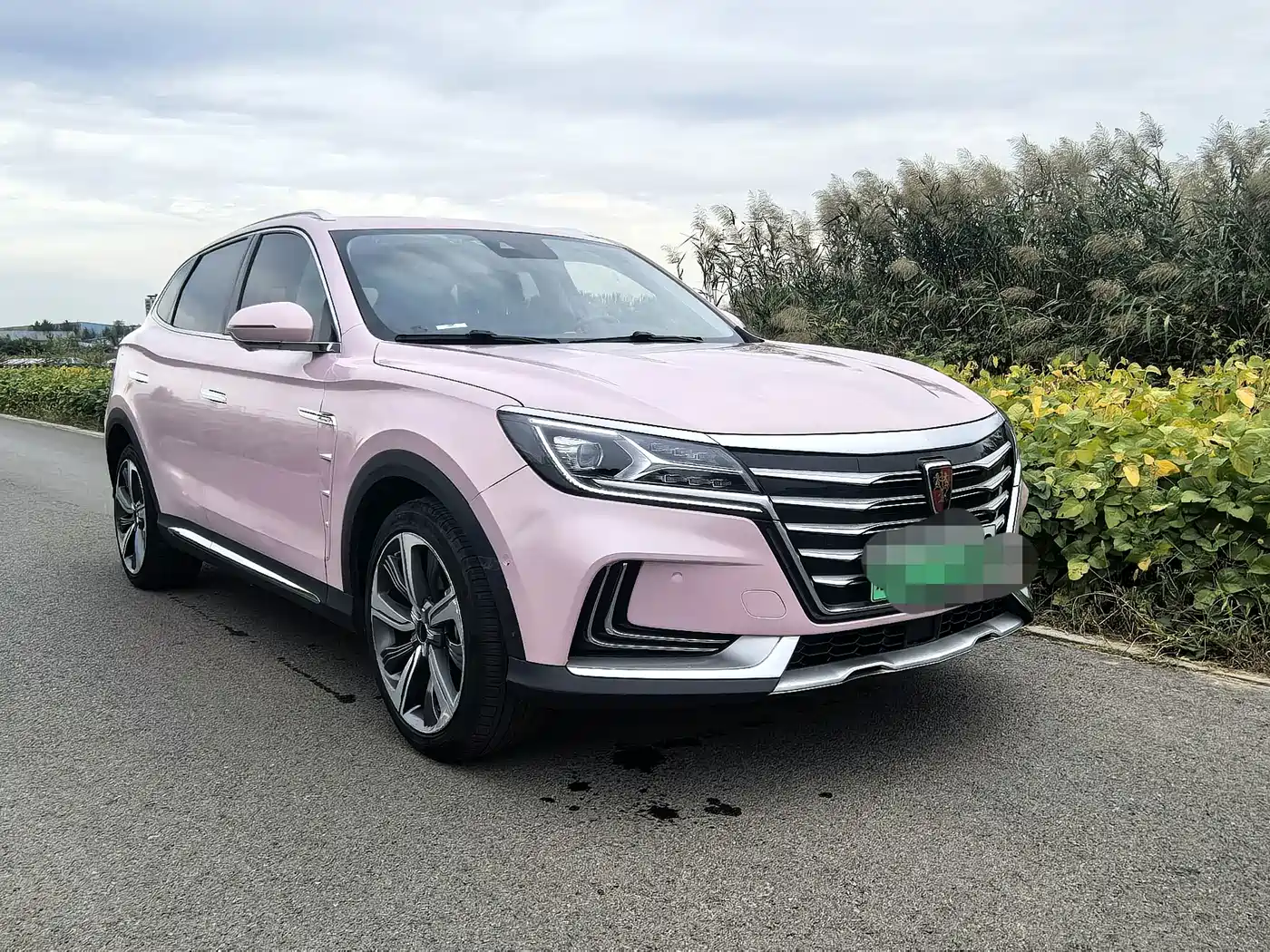 Roewe MARVEL X 2019 2018 Rear-Wheel Drive Version