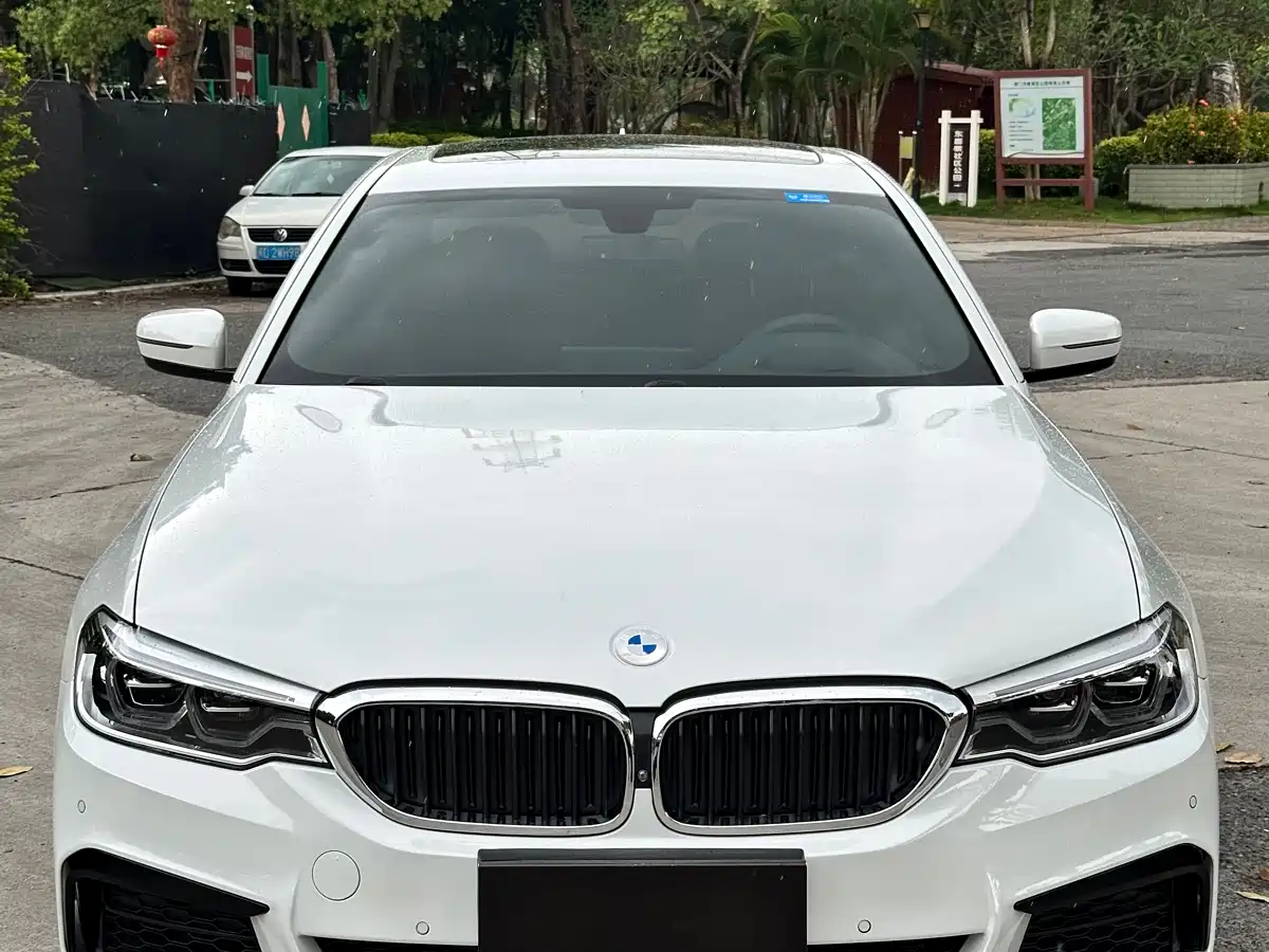 BMW 5 Series 2020 530Li Exclusive M Sport Package фото 2
