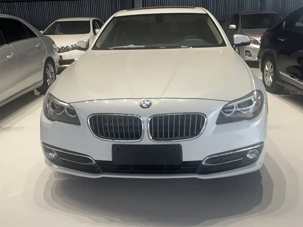 BMW 5 Series 2014 525Li Luxury Design Package фото 9