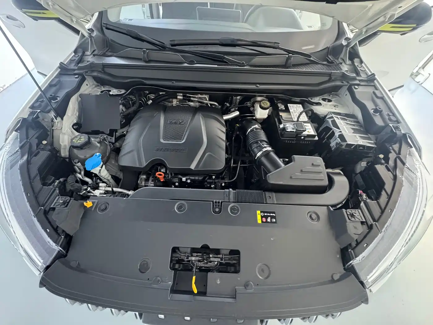 Haval Chitu 2022 2022 Power Edition 1.5T Purple Copper Rabbit