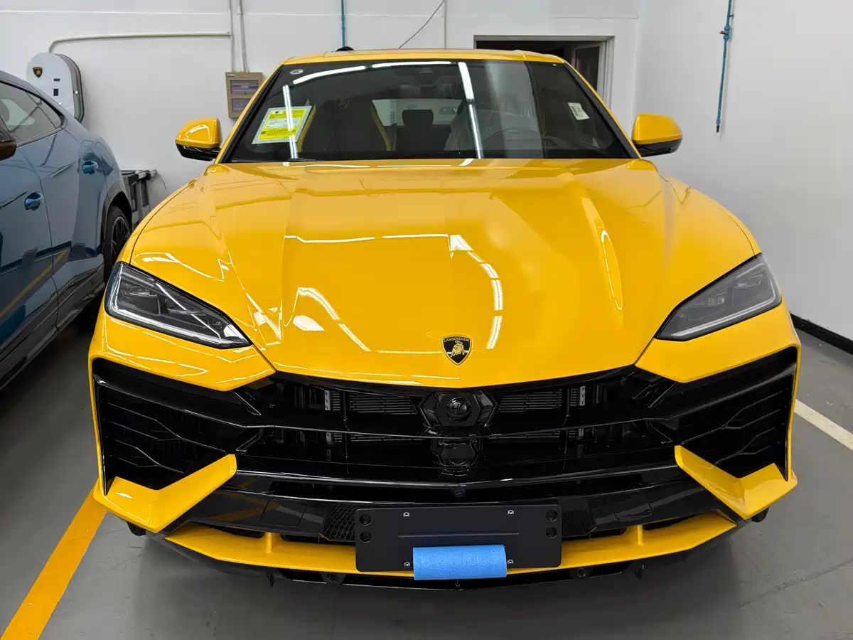 Lamborghini Urus SE 2025 4.0T Standard Edition фото 12