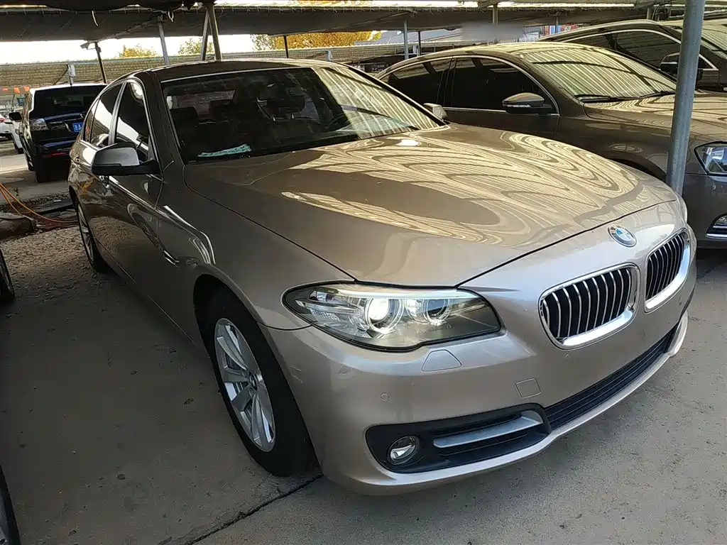 BMW 5 Series 2014 520Li Elegance фото 20