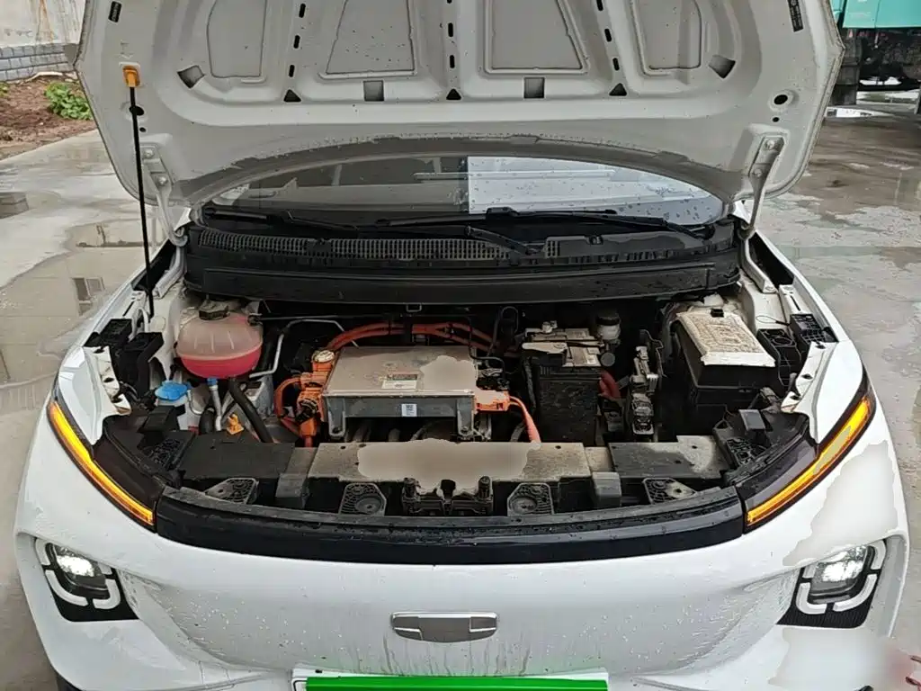 Geely Geometry E Firefly 2024 2024 Model 301km Light Flow
