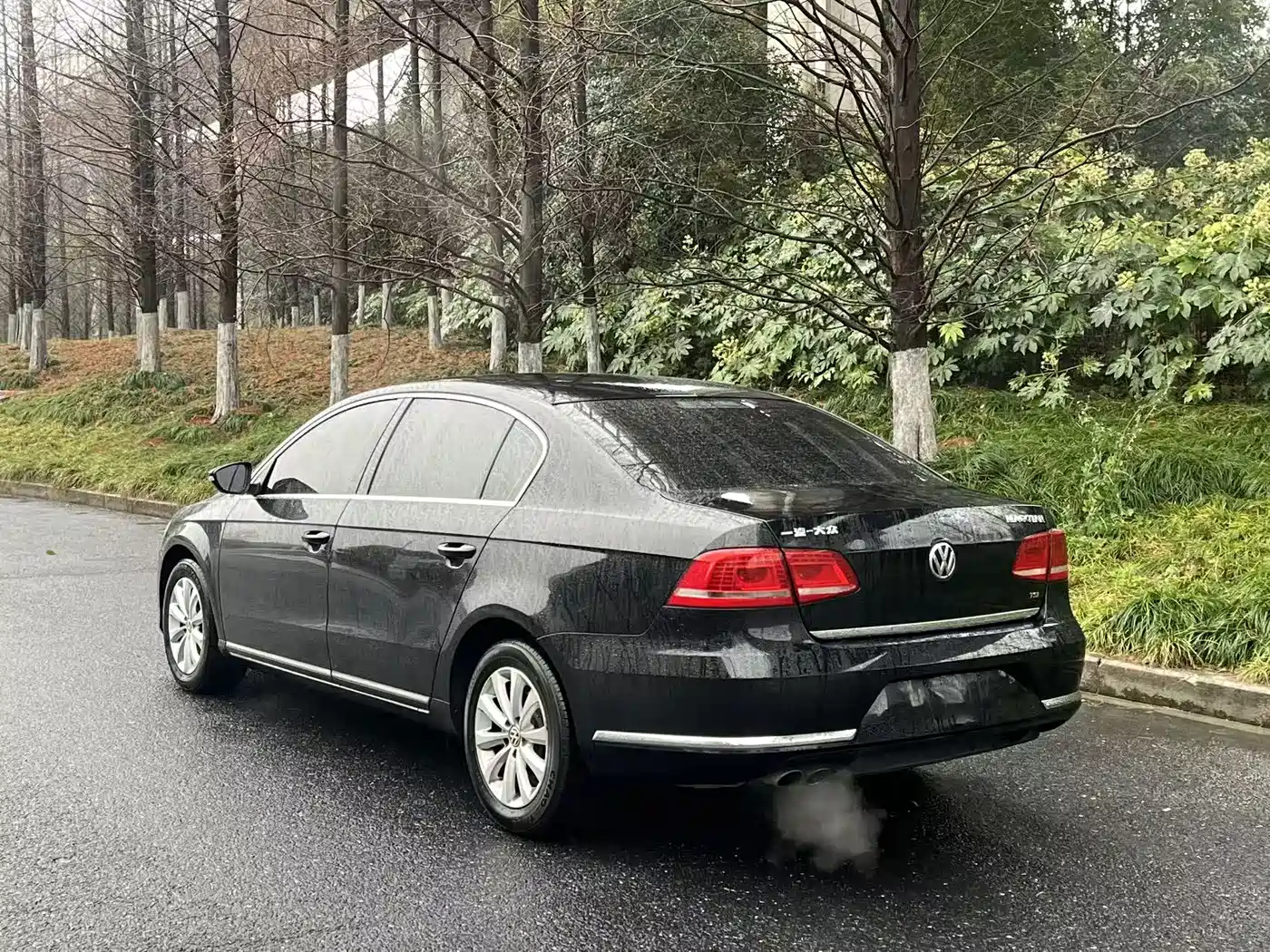 Volkswagen Magotan 2013 1.8TSI Luxury фото 10