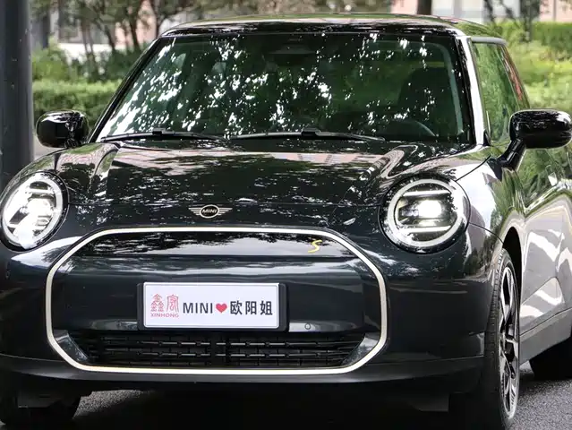  MINI Electric MINI COOPER 2024 452km COOPER SE Artist
