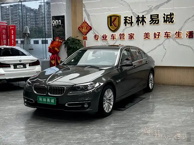  BMW BMW 5 Series 2013 535Li Luxury