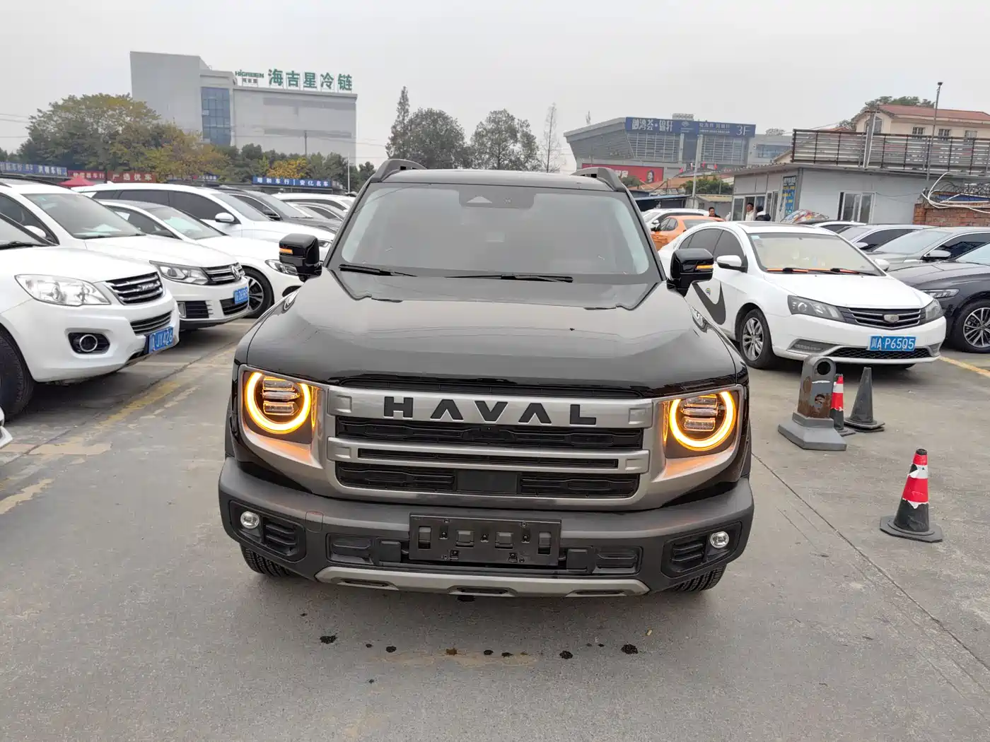 Haval Big Dog 2024 1.5T DCT Border Collie Edition фото 2