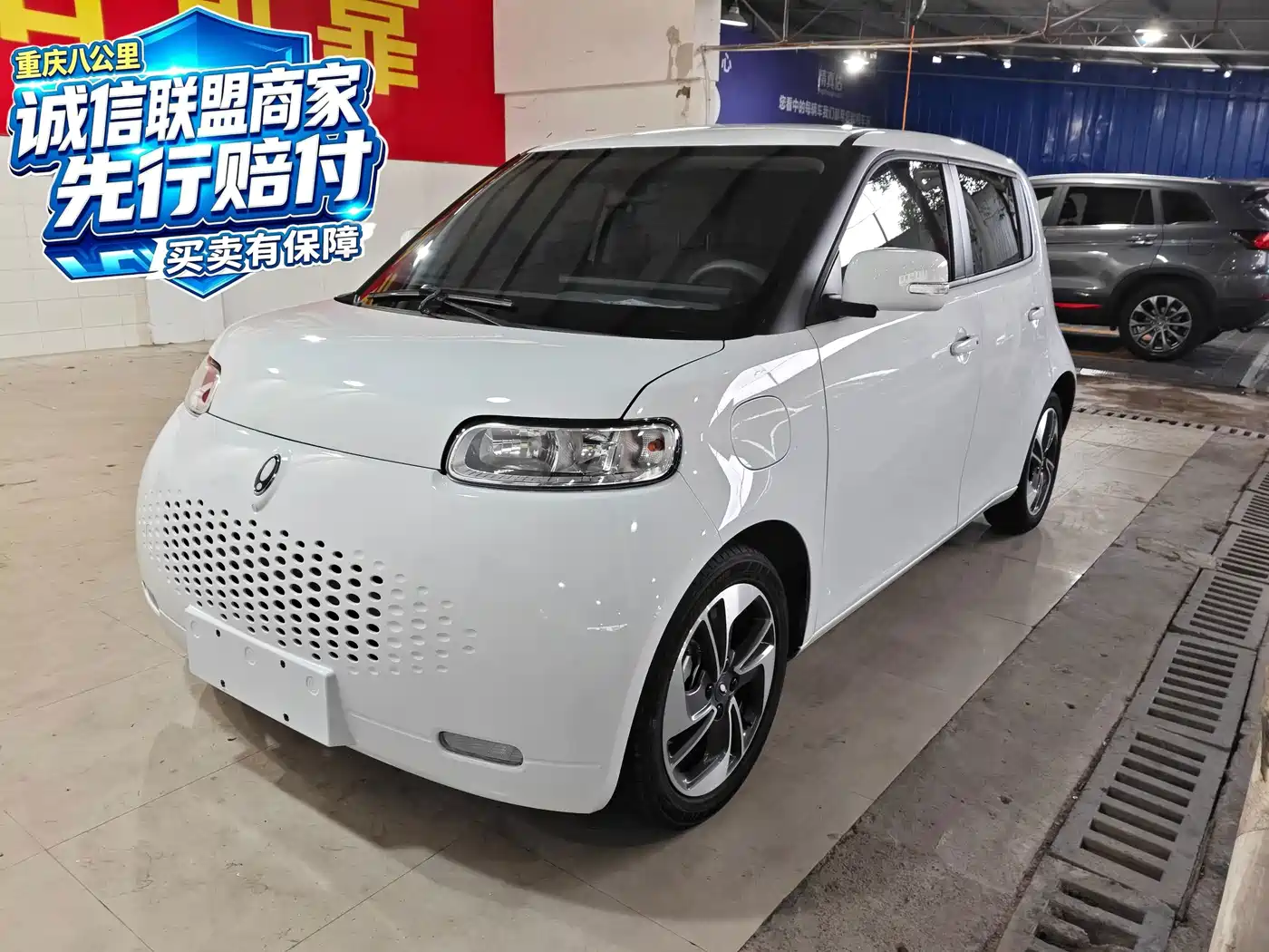 Ora White Cat 2021 2022 Wildcat Edition 360km Luxury (NMC)