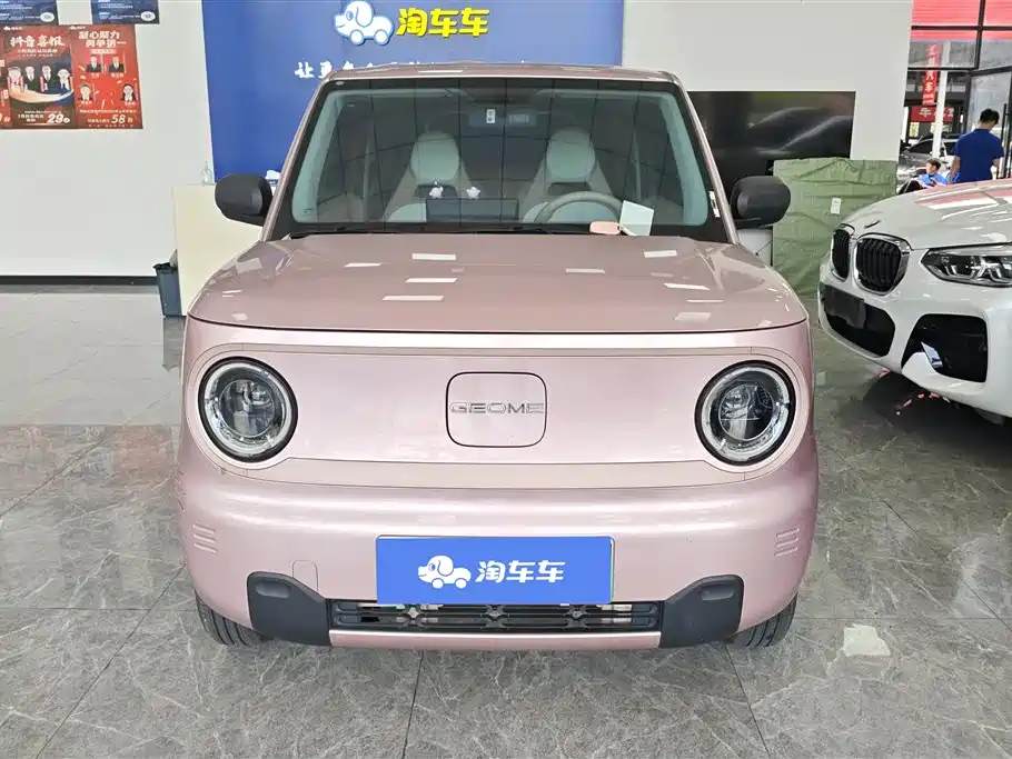 Geely Galaxy Panda 2023 Panda Mini 200km Endurance Bear фото 2