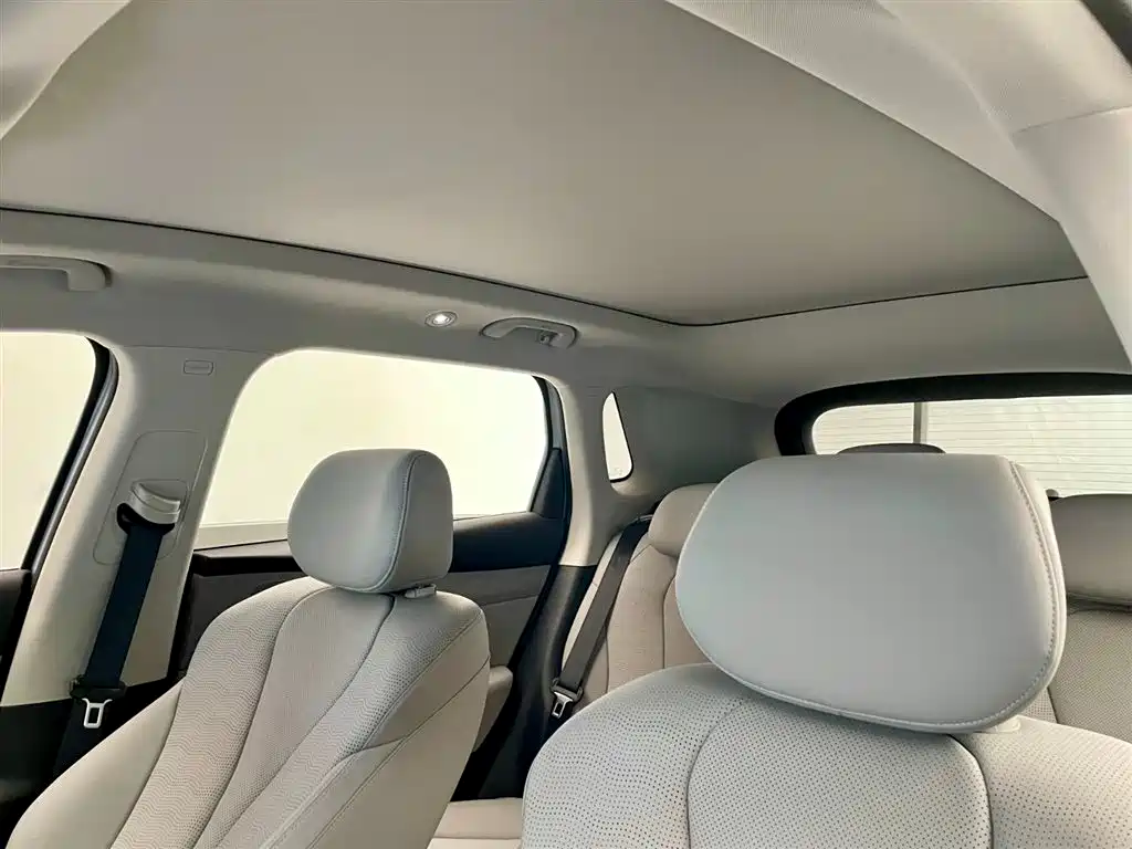 BYD Hai Shi 05 EV 2025 520KM Smart Navigation Edition фото 18