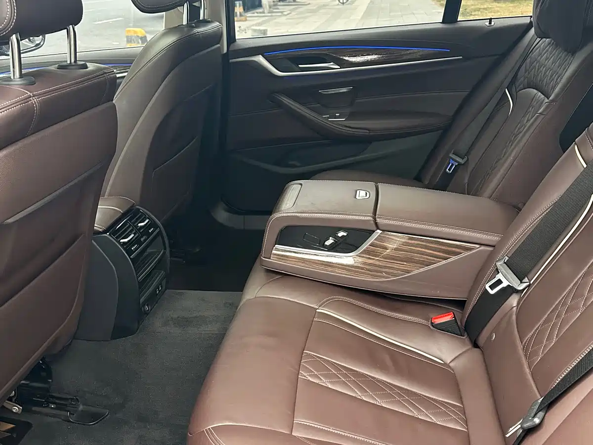 BMW 5 Series 2020 530Li Leading Luxury Package фото 8