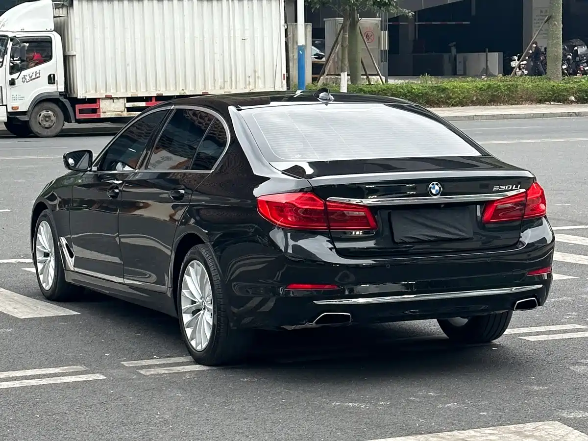 BMW 5 Series 2020 530Li Leading Luxury Package фото 23