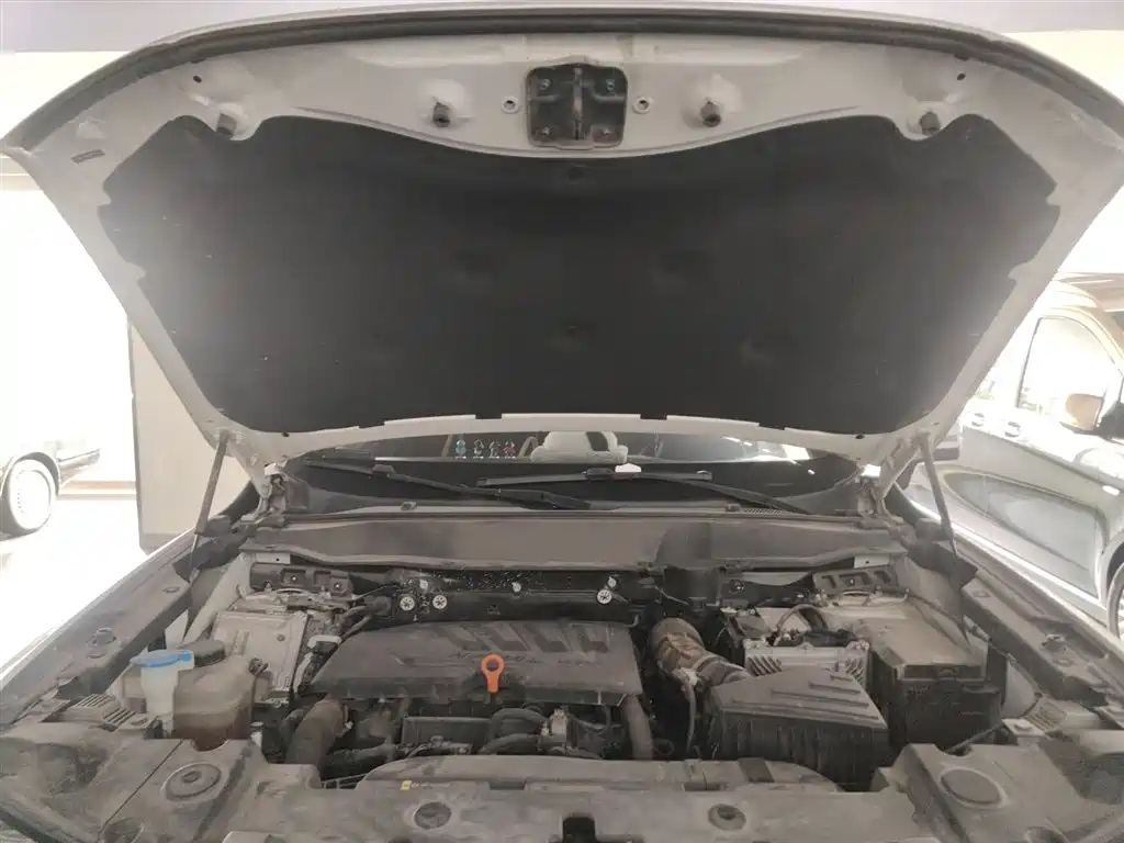 Haval Big Dog 2021 1.5T DCT 2WD Labrador Edition фото 20