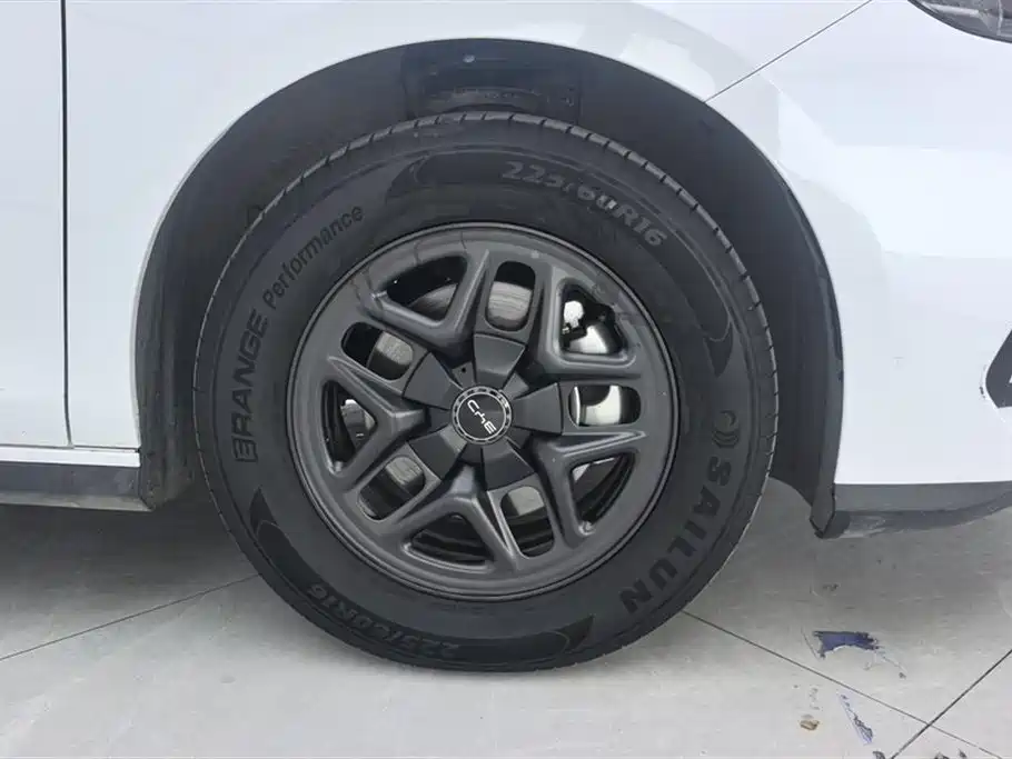 BYD Hai Bao 05 DM-i 2025 DM-i Smart Drive Edition 55KM Luxury фото 6