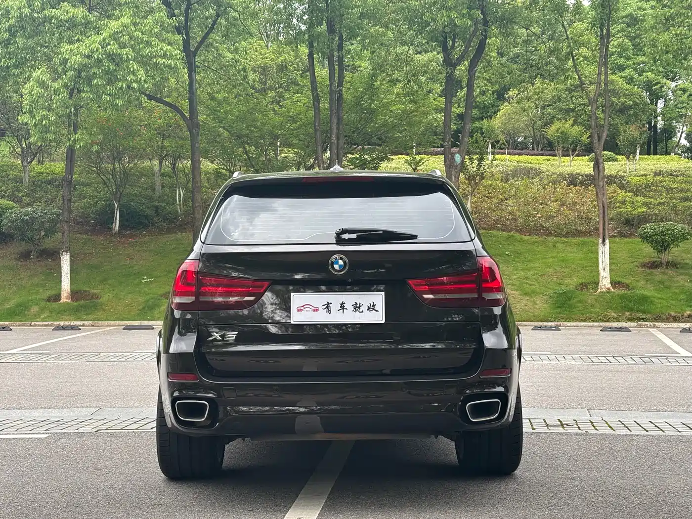 BMW X5 (Import) 2017 xDrive35i Elegance фото 8