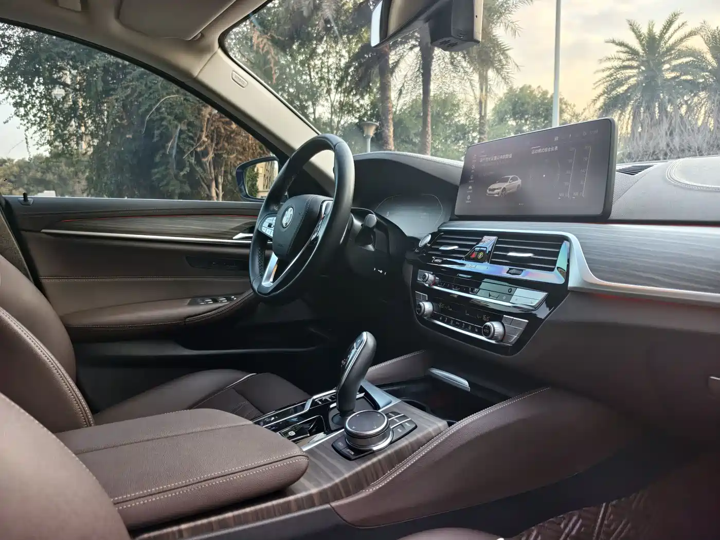 BMW 5 Series 2022 530Li Leading Luxury Package фото 12