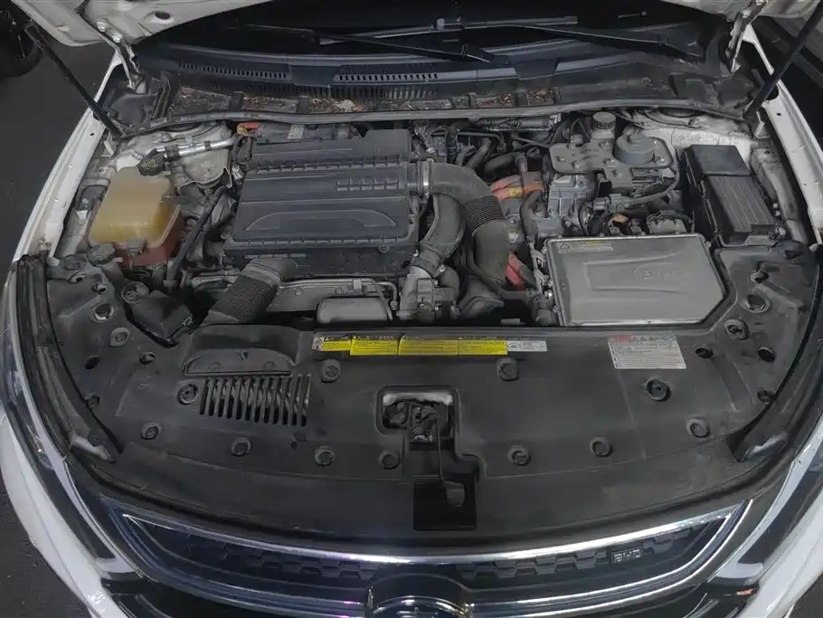 BYD Qin New Energy 2017 1.5T Premium Model фото 9