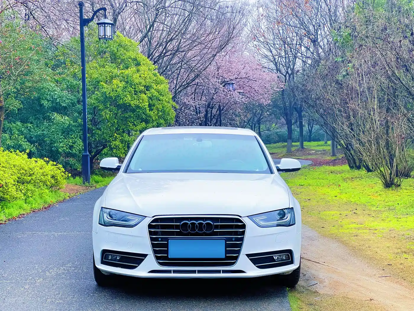 Audi A4L 2016 35 TFSI Collector's Edition Automatic Standard фото 2