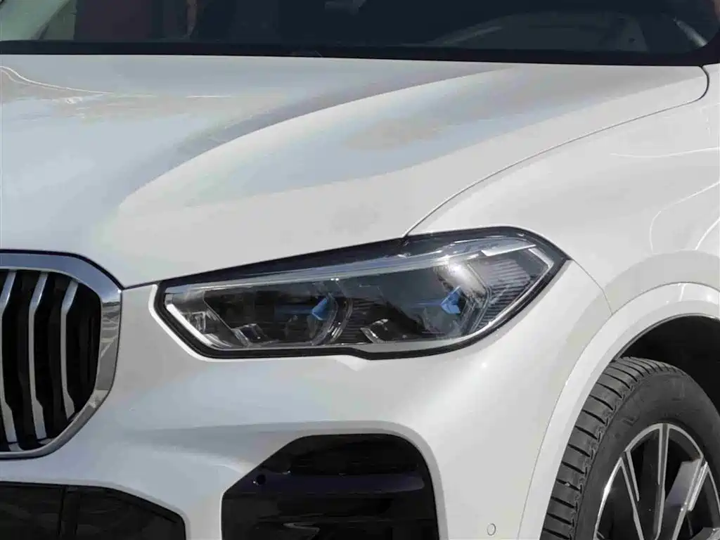 BMW X5 (Import) 2022 xDrive40i M Sport Package фото 3