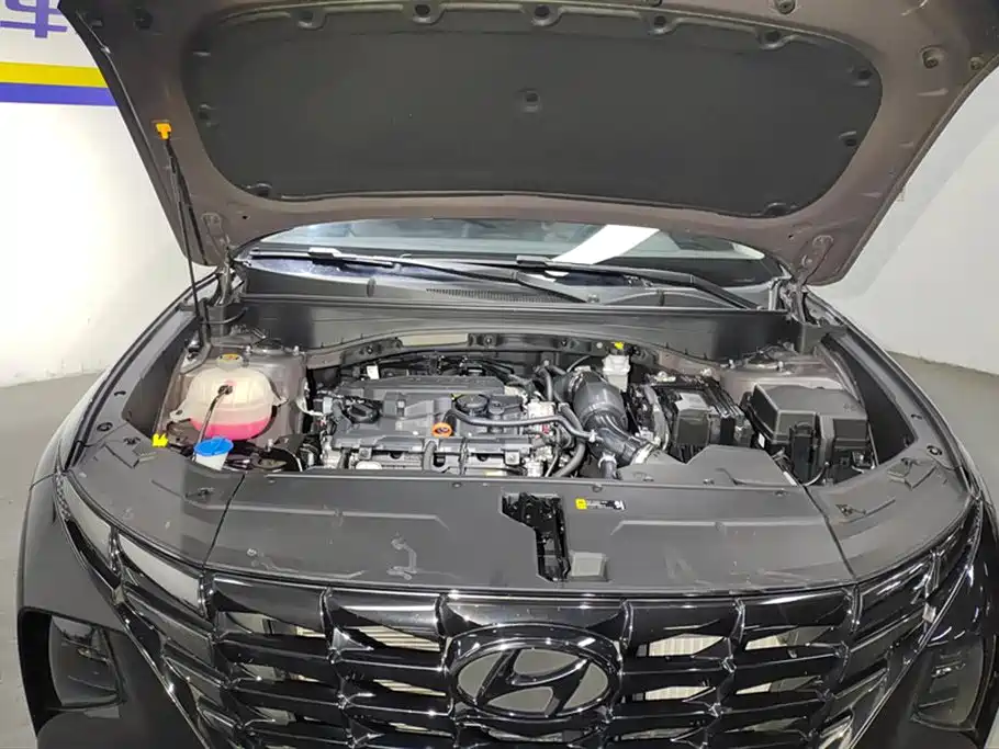 Hyundai Tucson 2023 Tucson L 1.5T Automatic 2WD DLX Luxury Edition фото 10