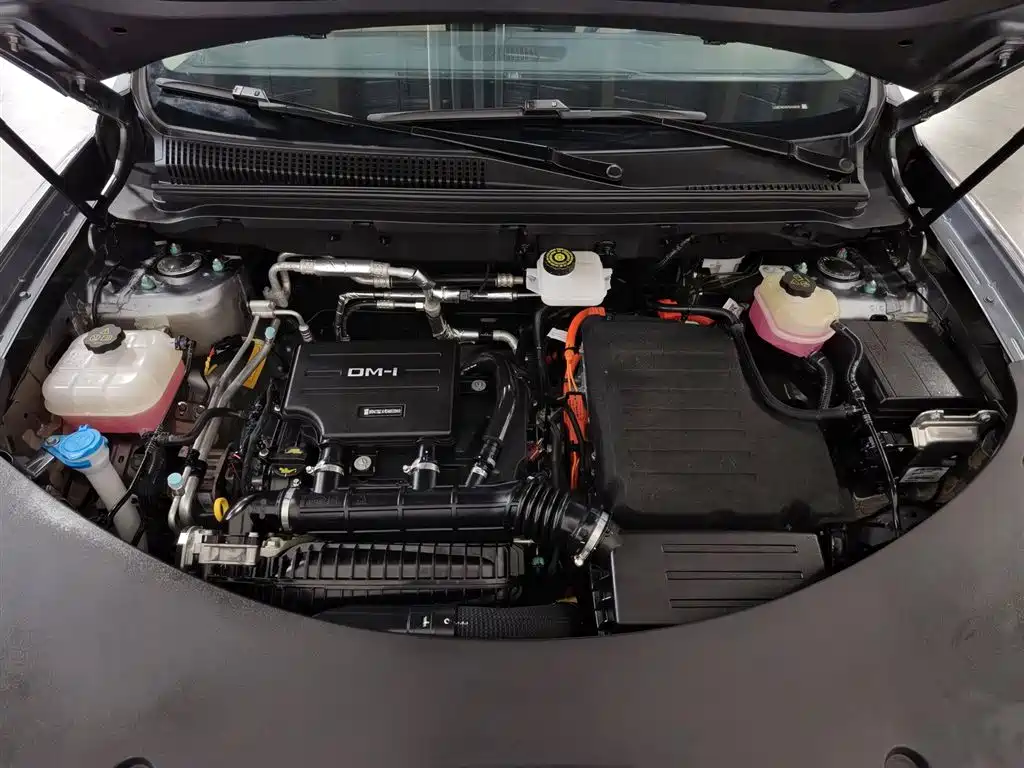 BYD SONGJIANG NEW ENERGY