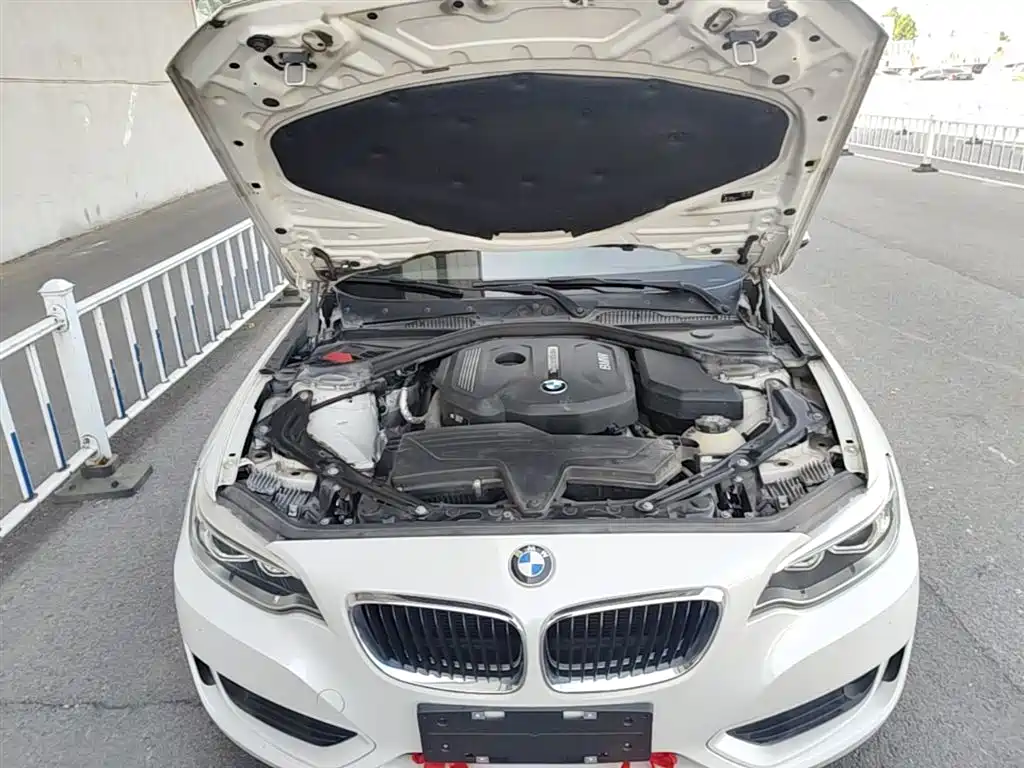 BMW 2 Series (Import) 2015 218i Convertible Coupe фото 19