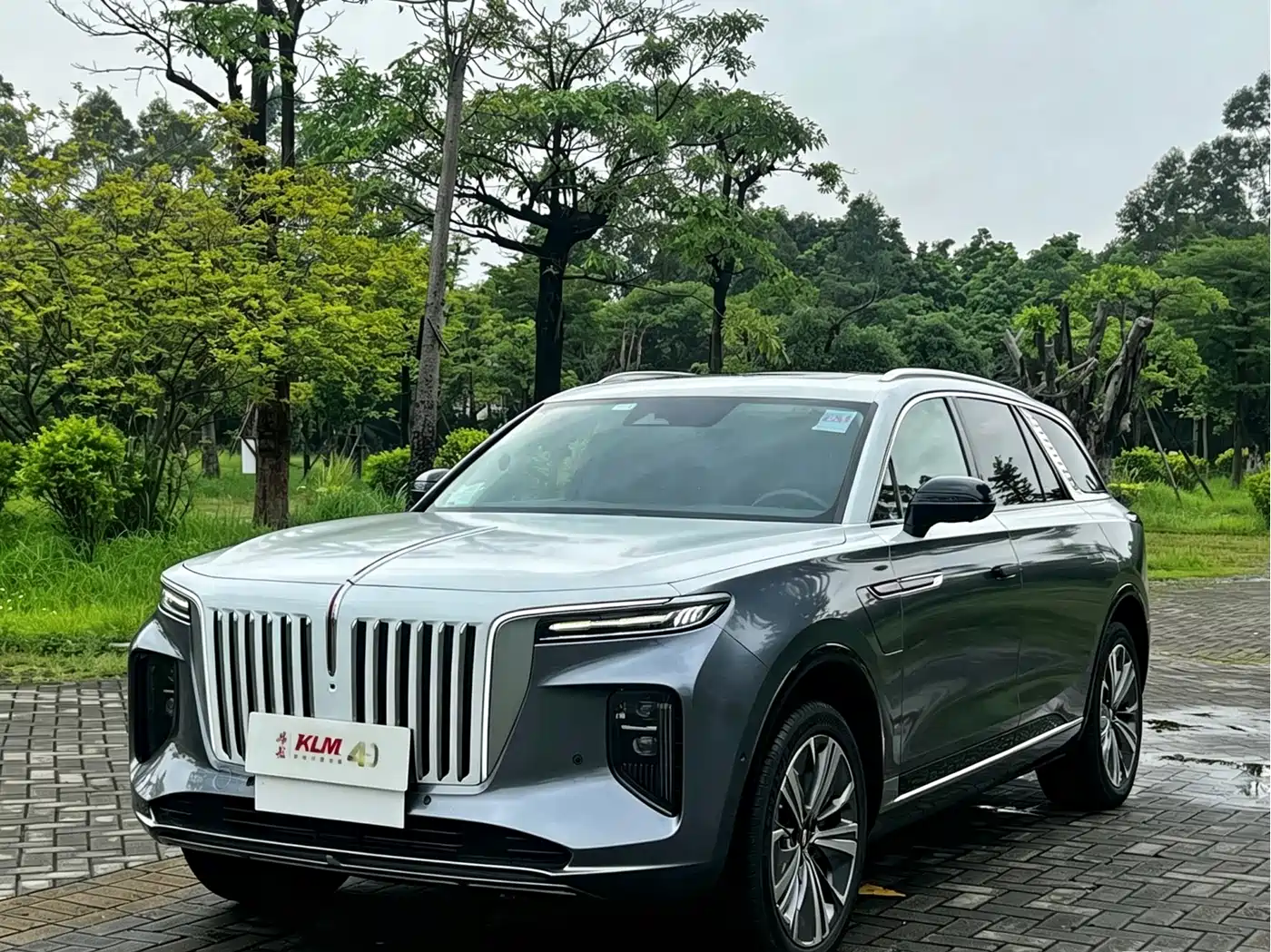 2023 Hongqi E-HS9