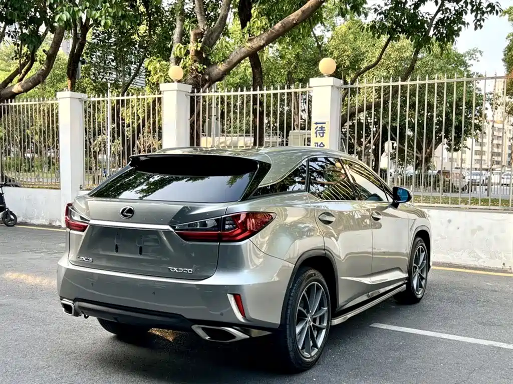 LEXUS RX