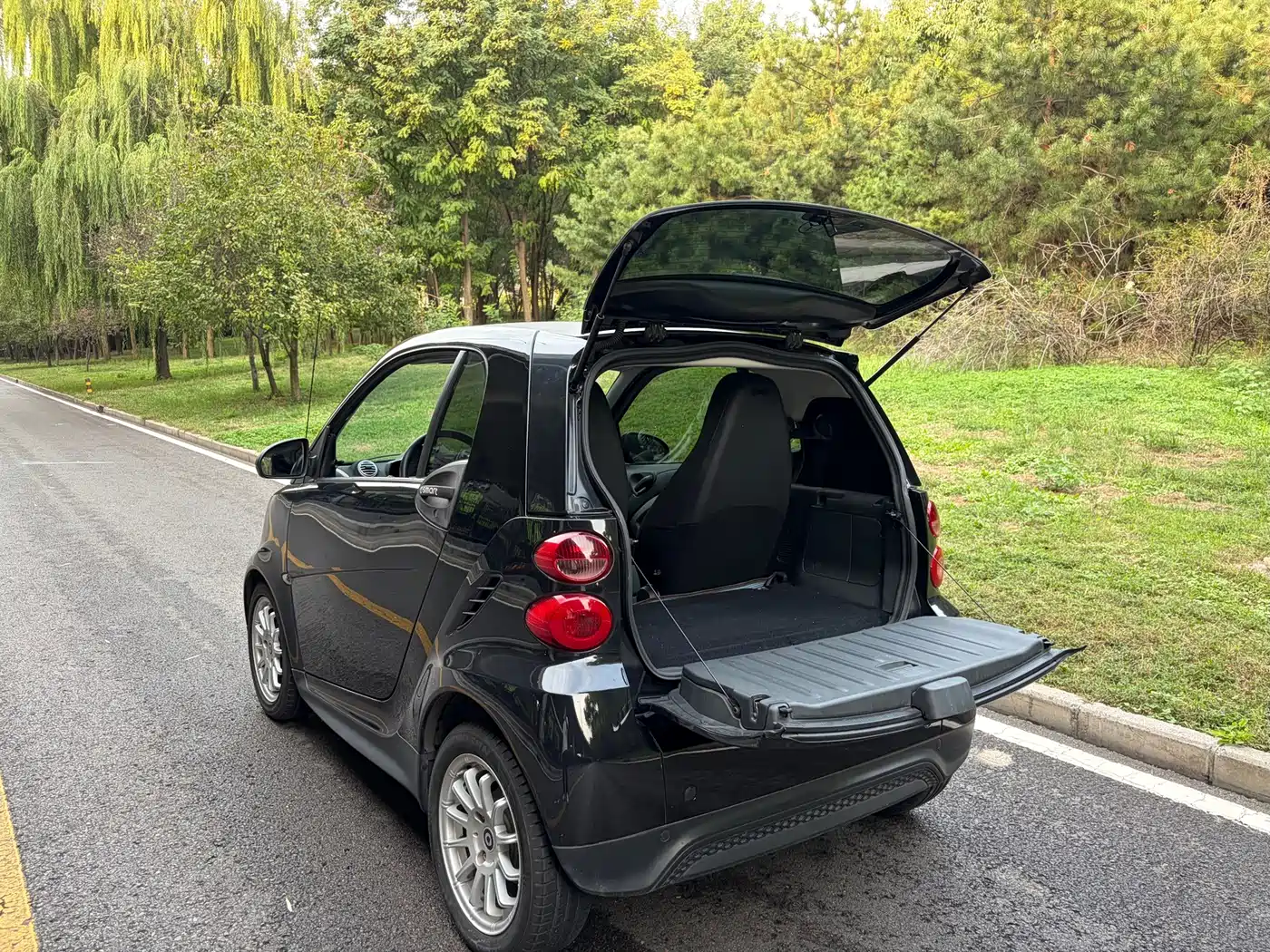 smart fortwo 2014 2012 1.0 MHD Hardtop Standard