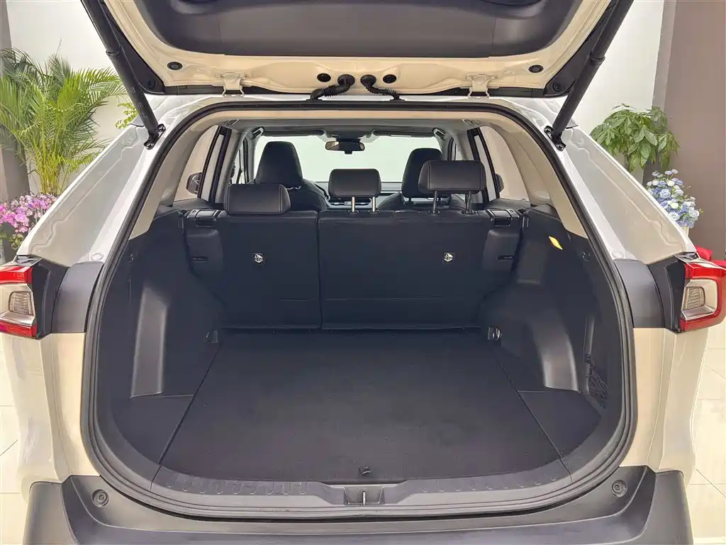 Toyota Wildlander 2022 Hybrid 2.5L E-CVT FWD Luxury PLUS Edition фото 21