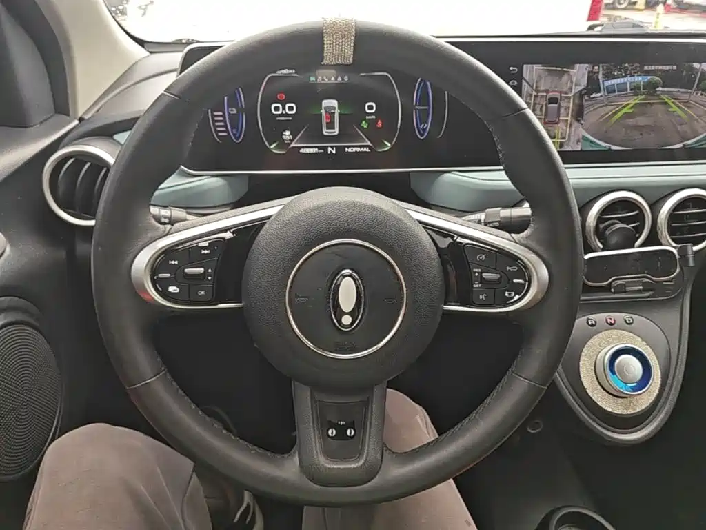 Ora Black Cat 2022 2022 351km Luxury (NMC)