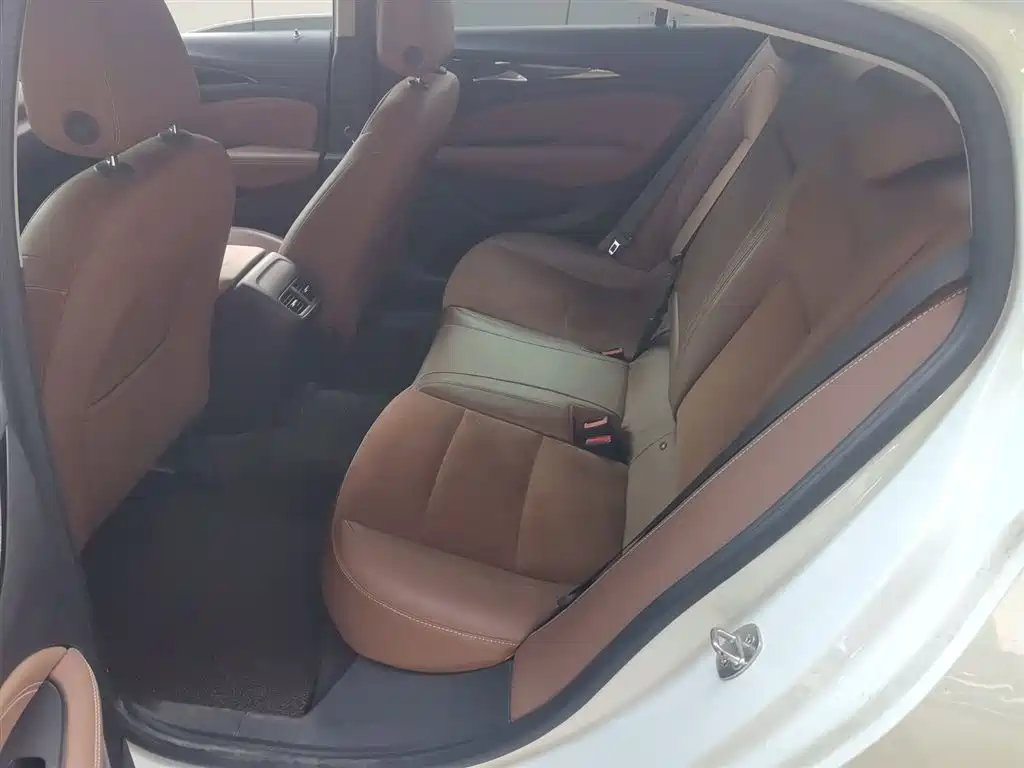 Buick Regal 2017 20T Elite Type фото 17